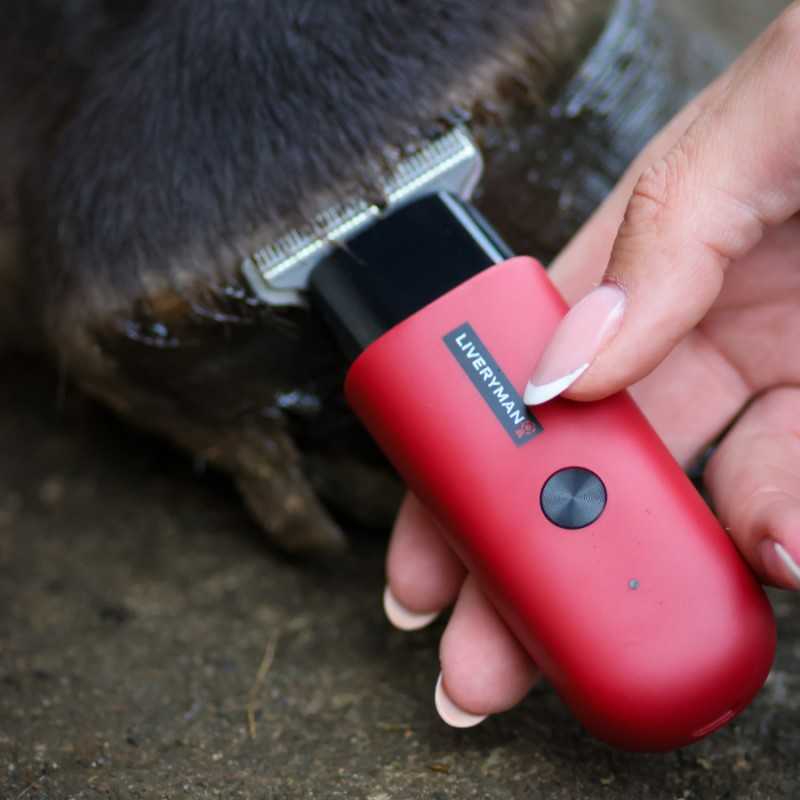 Esquiladora de retoques robin liveryman - Imagen 4