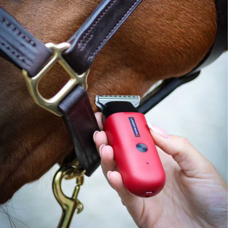 Esquiladora de retoques robin liveryman - Imagen 3